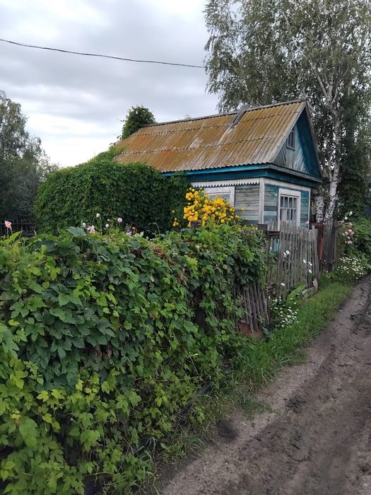 Продам дачу СТ "Борки"