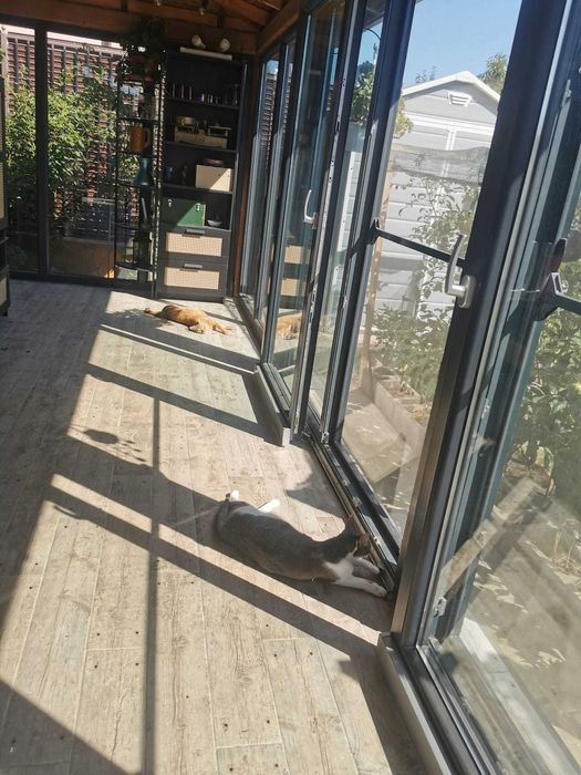 Proprietar-Casa an 2022, Sat Vadu Anei,  Branesti -Ilfov