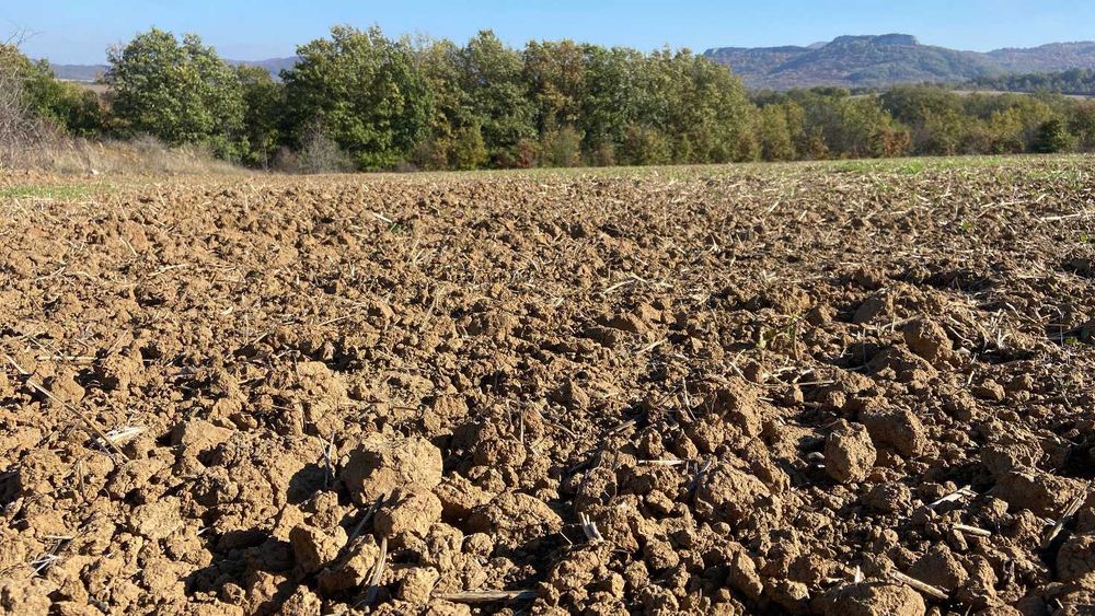 Продава се Земеделски имот в Дългопол -  кв.м за 1168 €/дка - Снимка #7