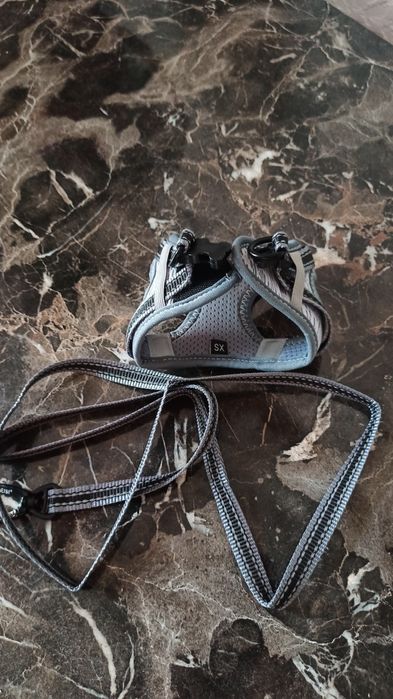 Продам шлейку для маленьких щенков.