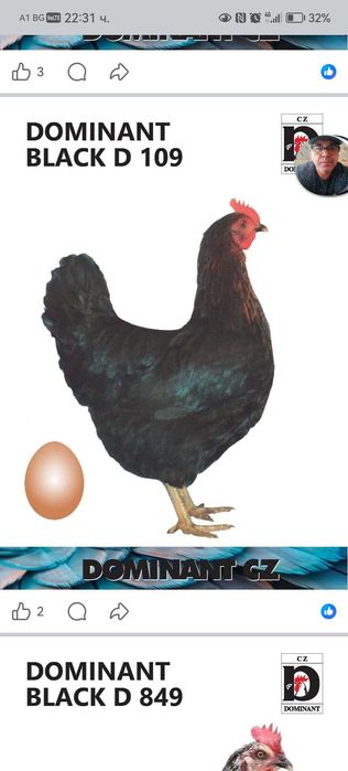 Продавам пилета на различна възраст