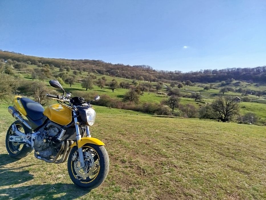 Honda Hornet 600, pc34