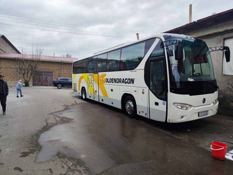 Goldin drakon avtobuz
