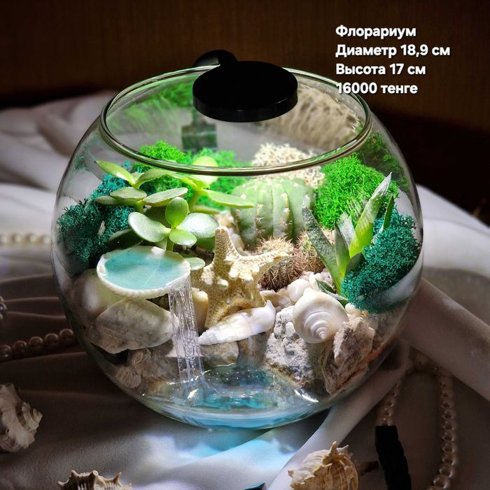 Флорариум, суккуленты