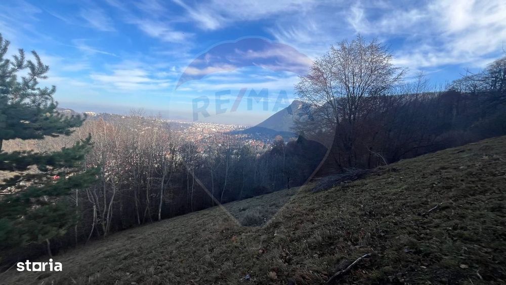 Teren Colinar Panoramic – 17.684 mp în Scheii Brașovului