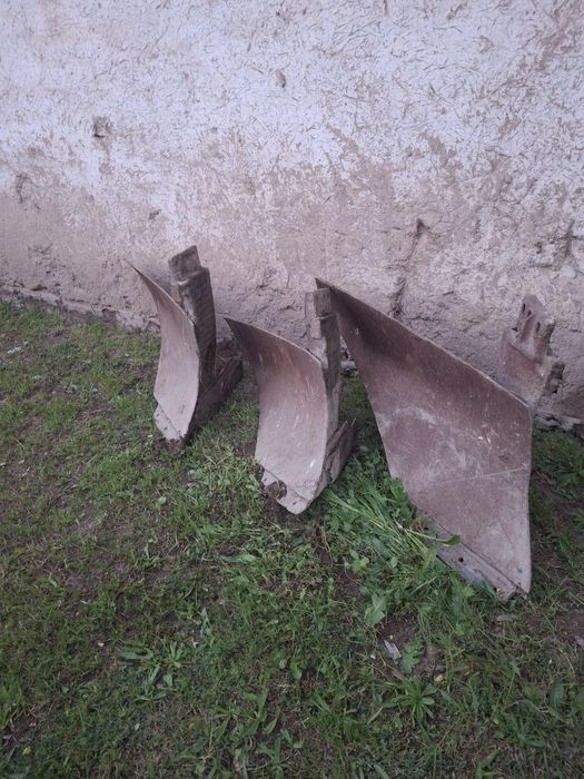 Pulik oyoqlari sotiladi