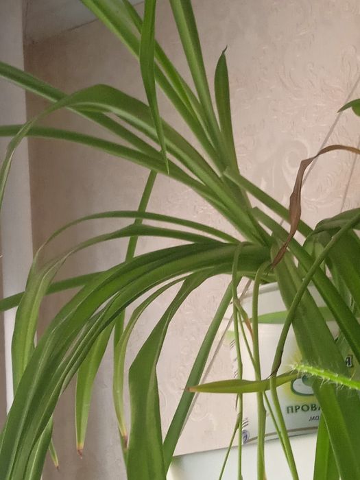 Расспродажа цена от 550тенге