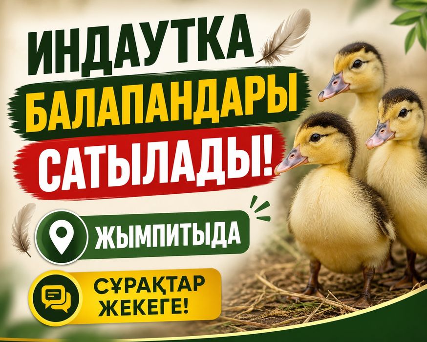 Продам индоутят, шустрые живучие