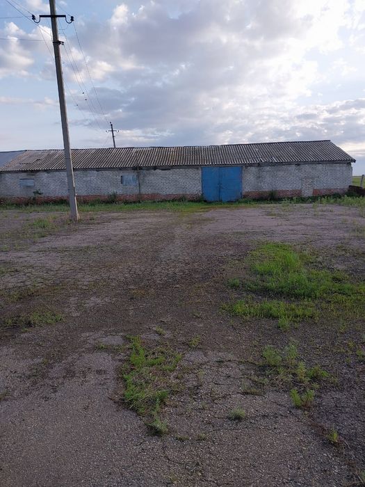 Животноводческое хозяйство