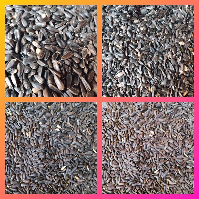 Корм для всех видов декоративных птиц