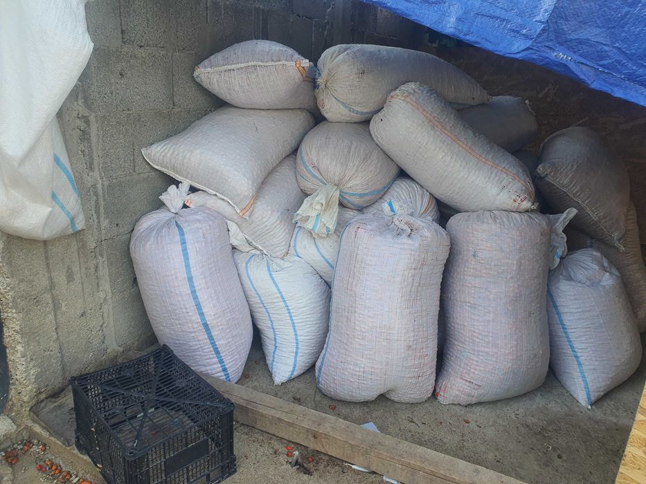 macese de vanzare. cantitati mari .OFERTA LA COMANDA