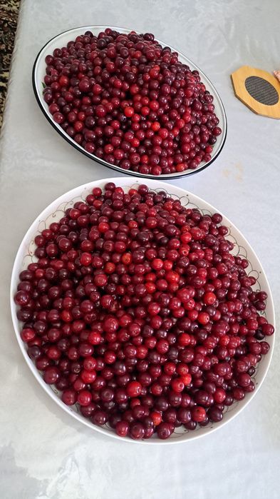 Продаётся компот из вишни