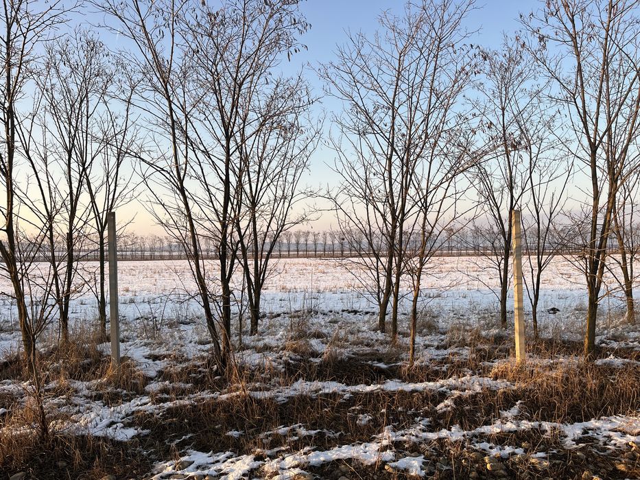 Se vinde teren cu balastieră autorizată!