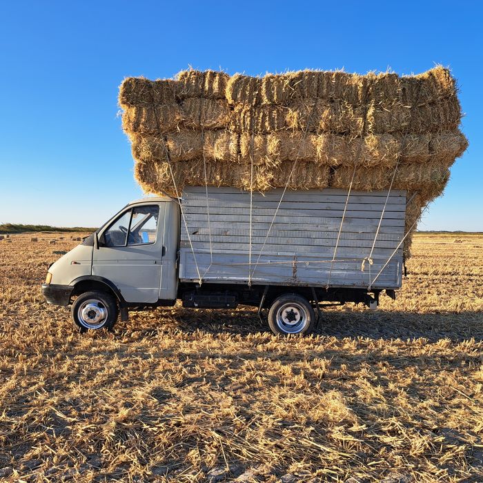 САБАН ПРЕС БАР доставка бар