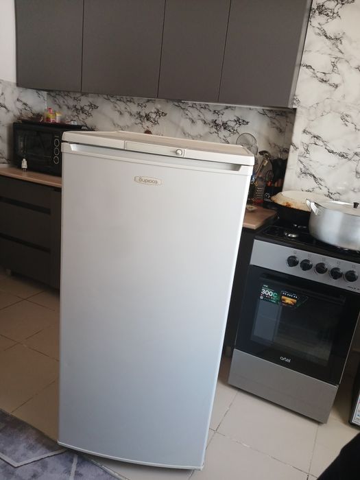 бирюса холодильник