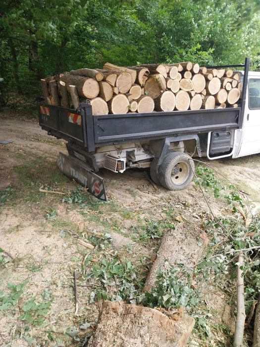 Vînd lemne de foc esență tare Stejar, carpen, fag