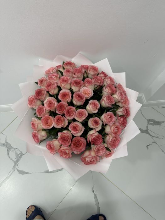 51 роза свежаяя.