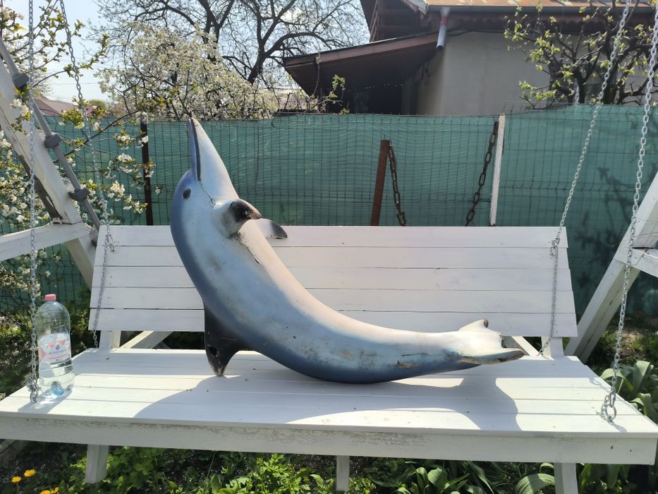 Delfin butaforie design