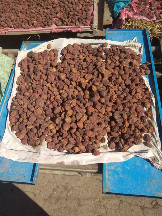 Аштак урик сотилади ичида магзи бор данаги йук.