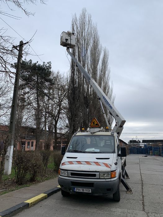 Nacela de inchiriat, Toaletări copaci, arbori,