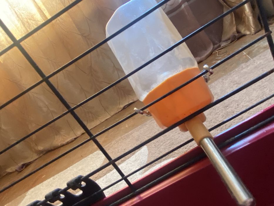 Продам клетку для морских свинок