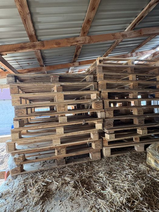 Паддон сатылады 20 штук бар