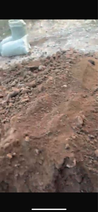 Продается навоз баранина (Қи сатылады)