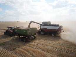 Бункер перегрузчик зерна