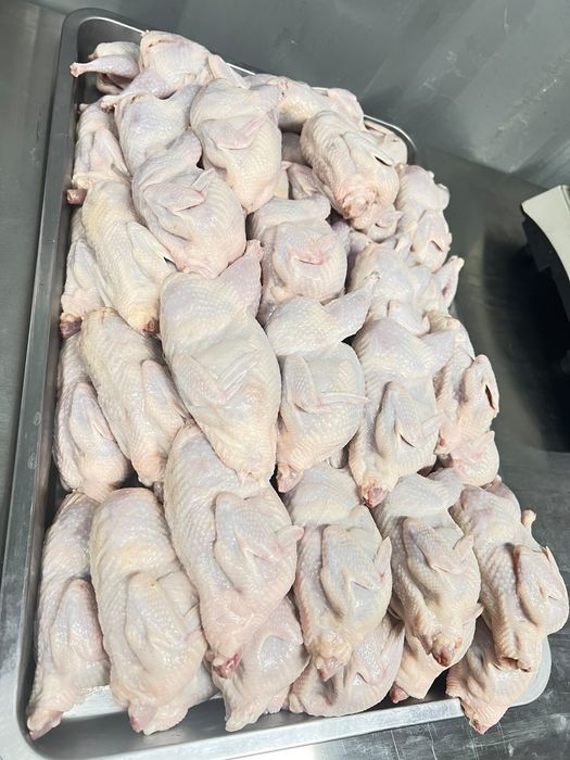 ОПТ перепелиное мясо