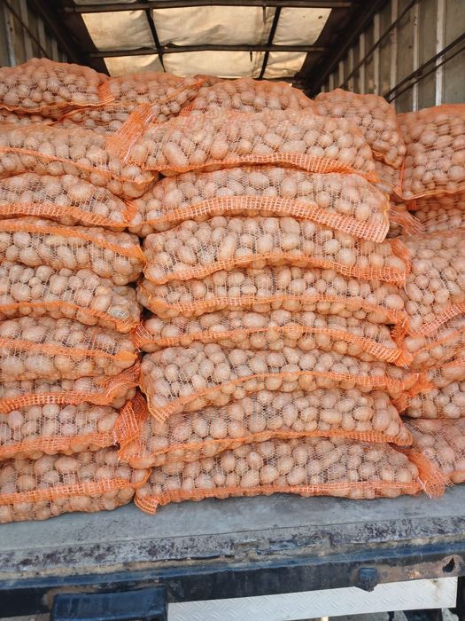 Vând cartof de sămânță alb și roșu