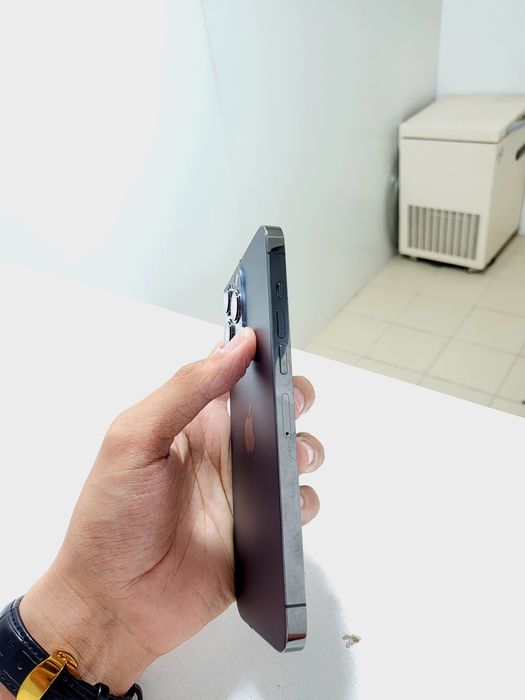 iPhone 13 Pro Max 256Gb