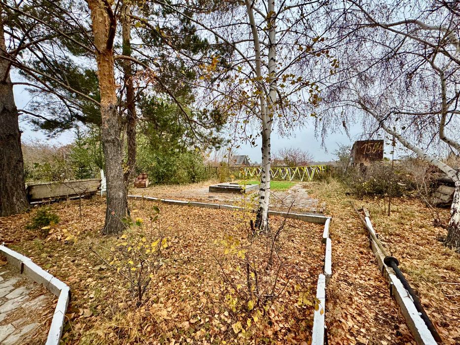 Дача район Кунгея садовае сообщество Ёлочка