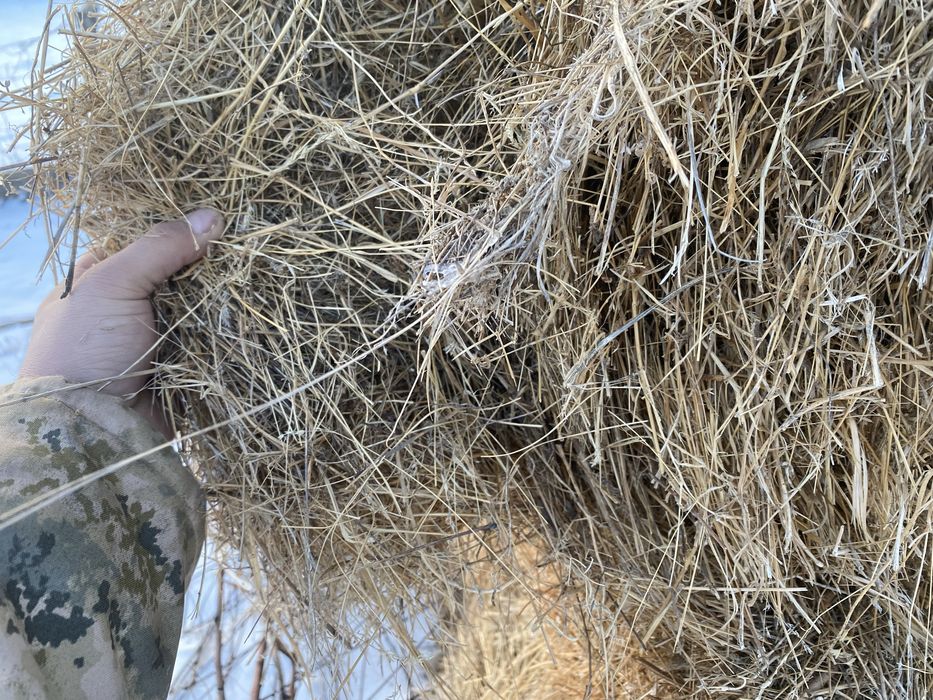 Продам сено, шоп сатылады 1500