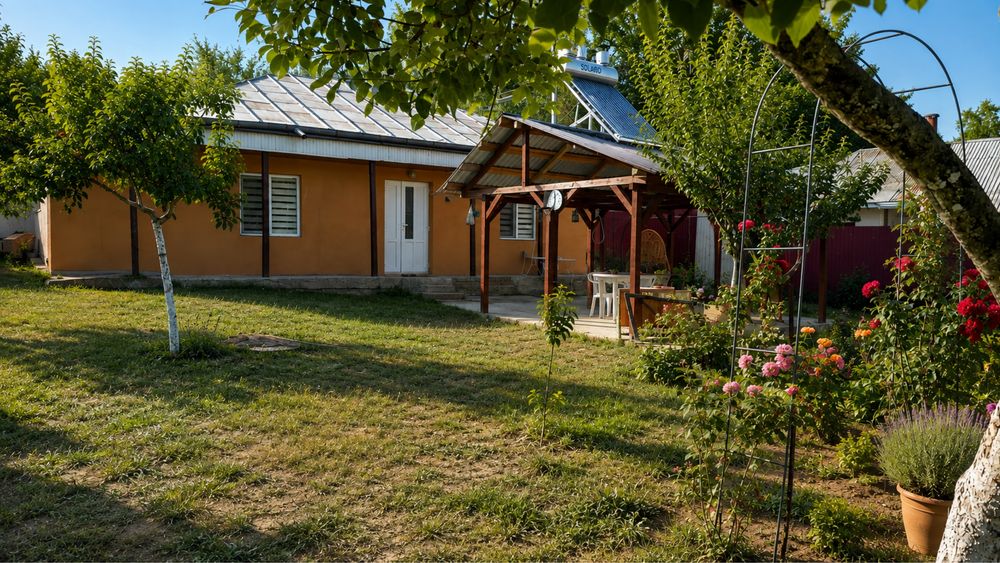 Casă + teren ~5.000 mp, livadă și anexe – Dragomirești, Vaslui