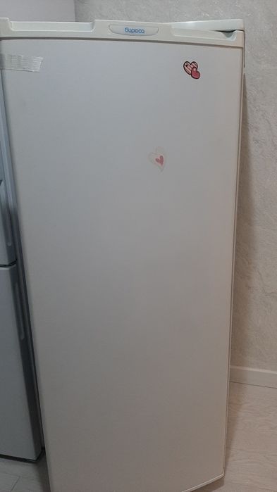 Холодильник Бирюса