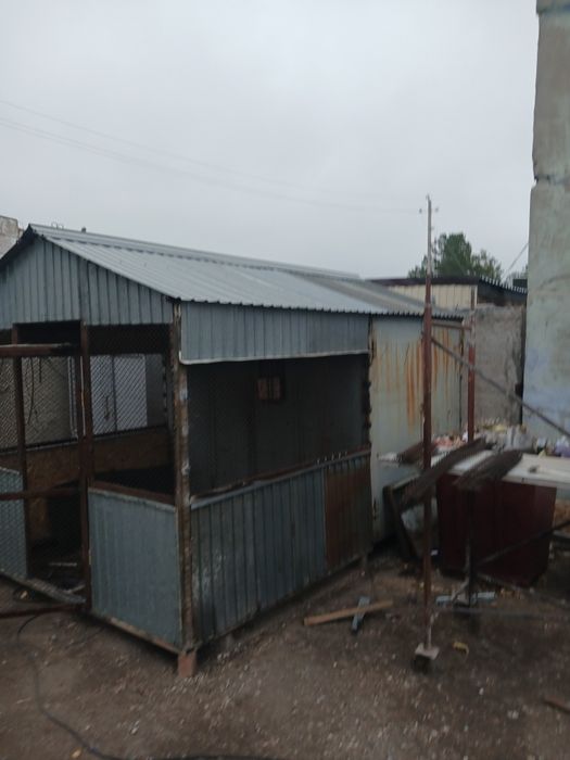 Продам голубят. Голубятник