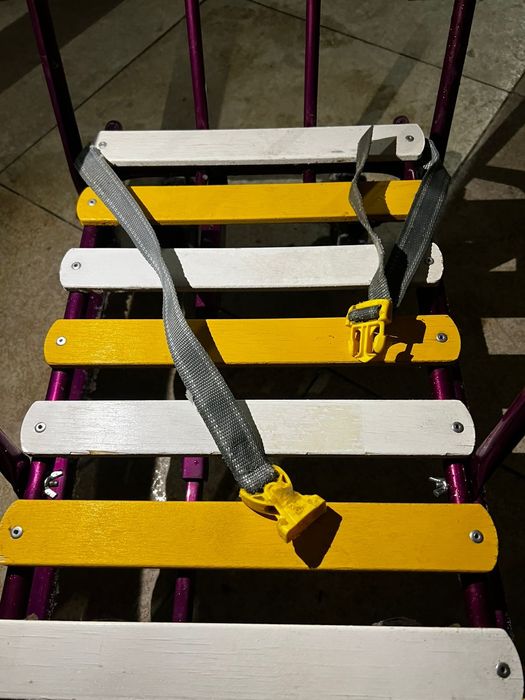 Сани| шана для детей