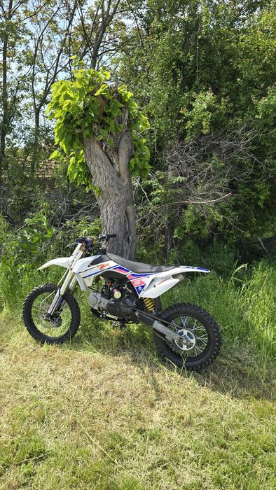 Bastos    mxf   125