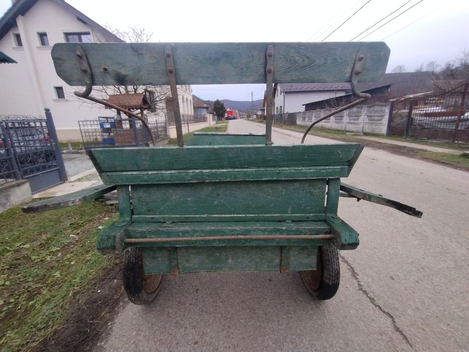 Sareta,caleașca cai