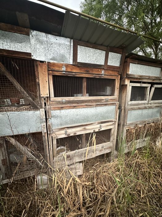 Клетки для кролов , крольчатник