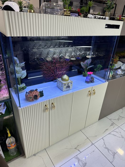 Akvarium Kirashiniy 120 sm