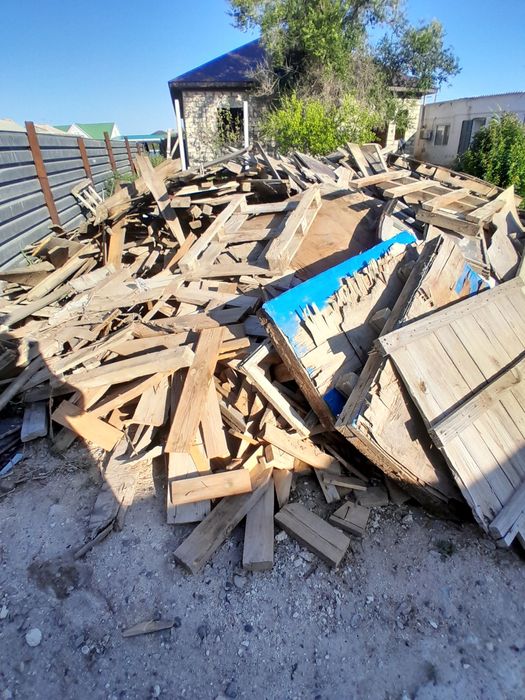 Ағаштар тегін тегін тегін