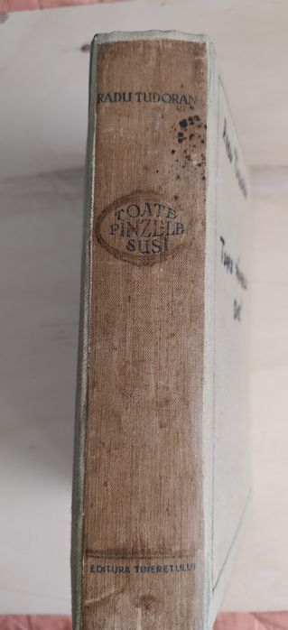 TOATE PANZELE SUS! Ediție Princeps