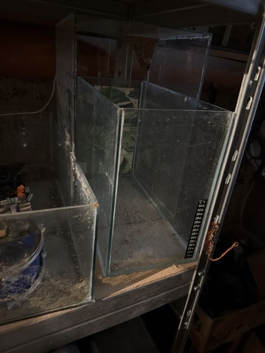 Acvarii diferite dimensiuni