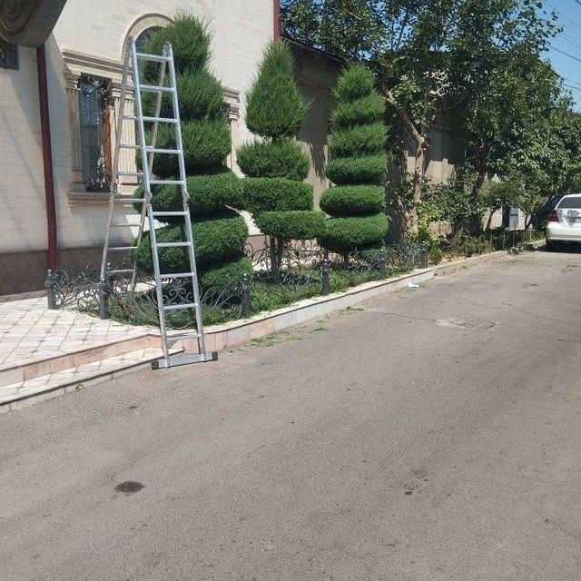 Арчаларга шакл бэриш Богбон.