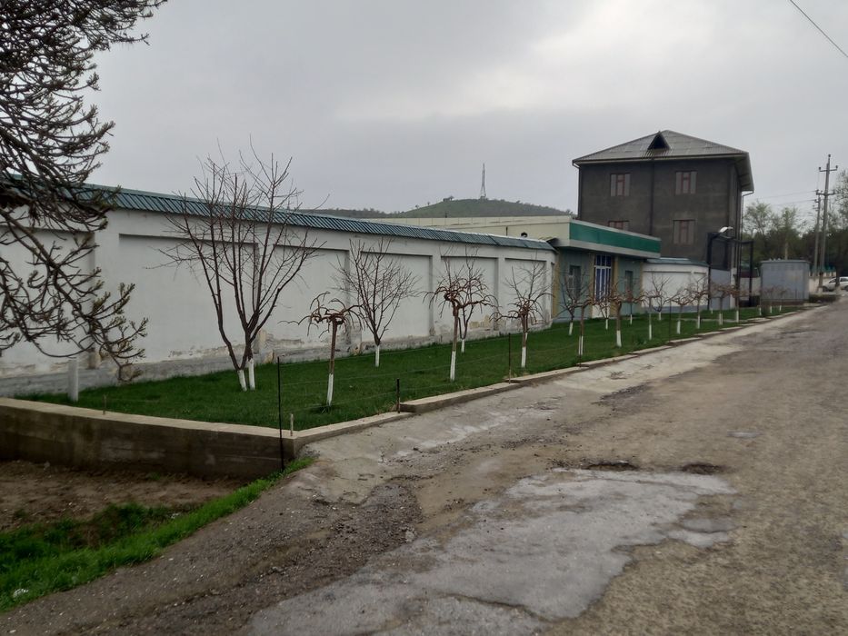 Срочно продается готовый проект  (47 Соток)