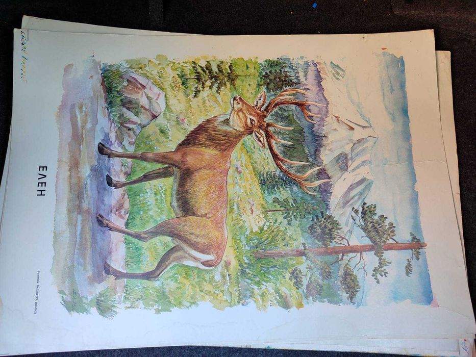 Стари училищни плакати