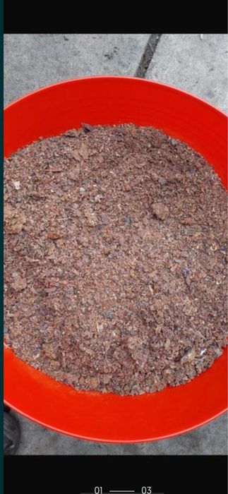 Polen si propolis din zona nepoluata vitamine pt imunitate raceli