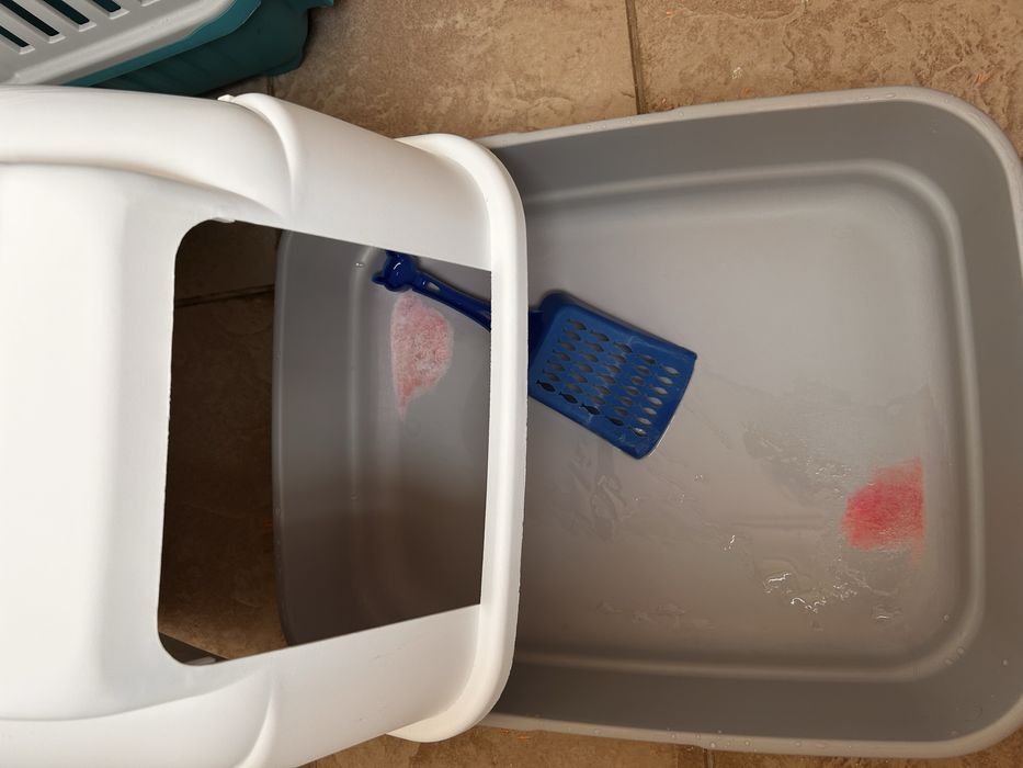 Letiera pisici plus lopetica si tofu lavanda
