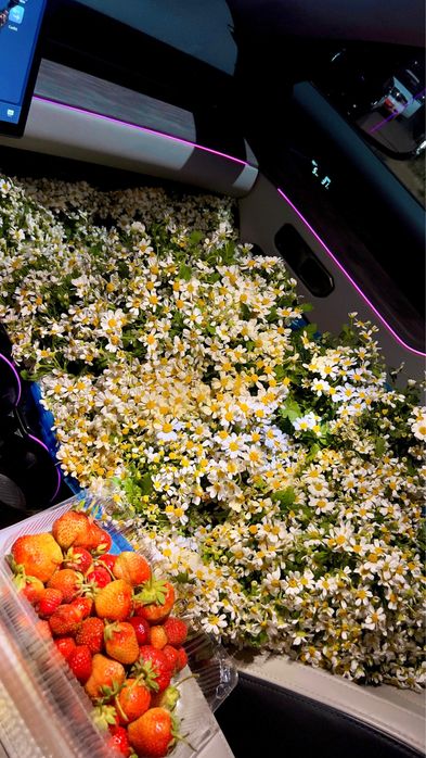 Цветы для посадки